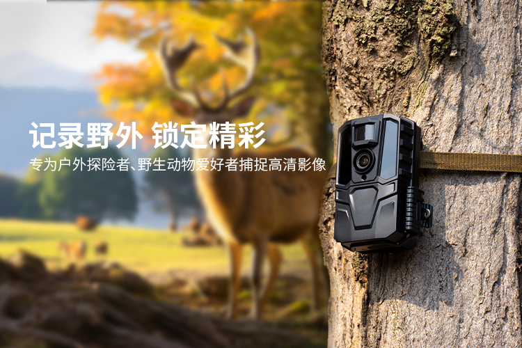 333体育-全网最有气氛的体育赛事直播平台