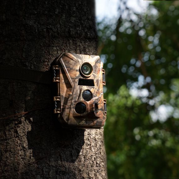 333体育-全网最有气氛的体育赛事直播平台